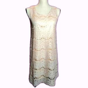 New Blush Lace Overlay Silky Satin Sleeveless Dress Small